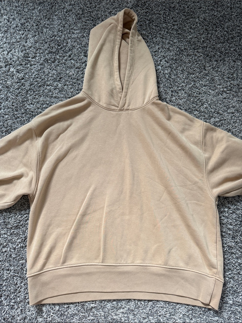 American Eagle Outfitters tan hooded sweatshirt